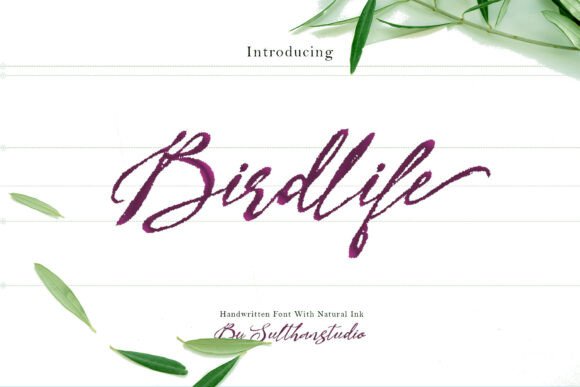 Bird Life: A Script Font for Campaign Creativity