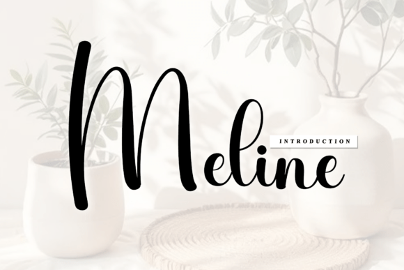 Font Choice That Matters: How Meline Elevates Campaign Design