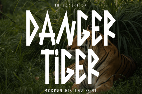 Font Choice That Speaks Volumes: Danger Tiger in Editorial Design